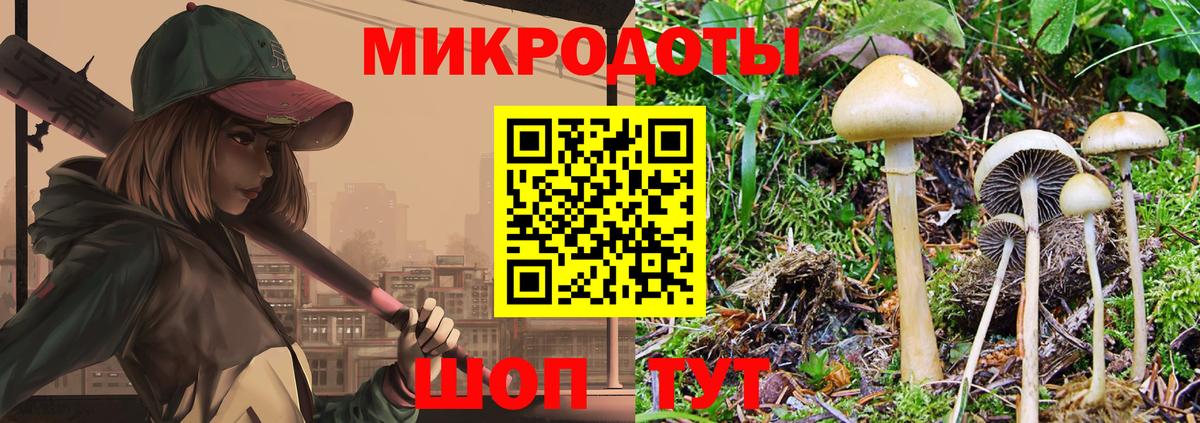 Галлюциногенные грибы Psilocybe  Вход с VPN  Чайковский 